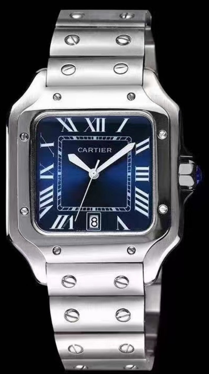 SANTOS WSSA0029 BV FACTORY SILVER WHITE DIAL    blue